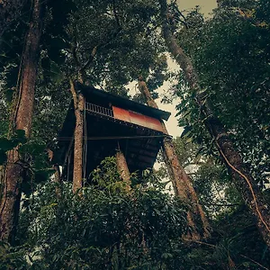 Ela Ecoland Nature Retreat 3*, Munnar India