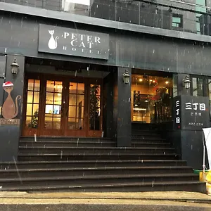 피터캣 신촌 서울특별시